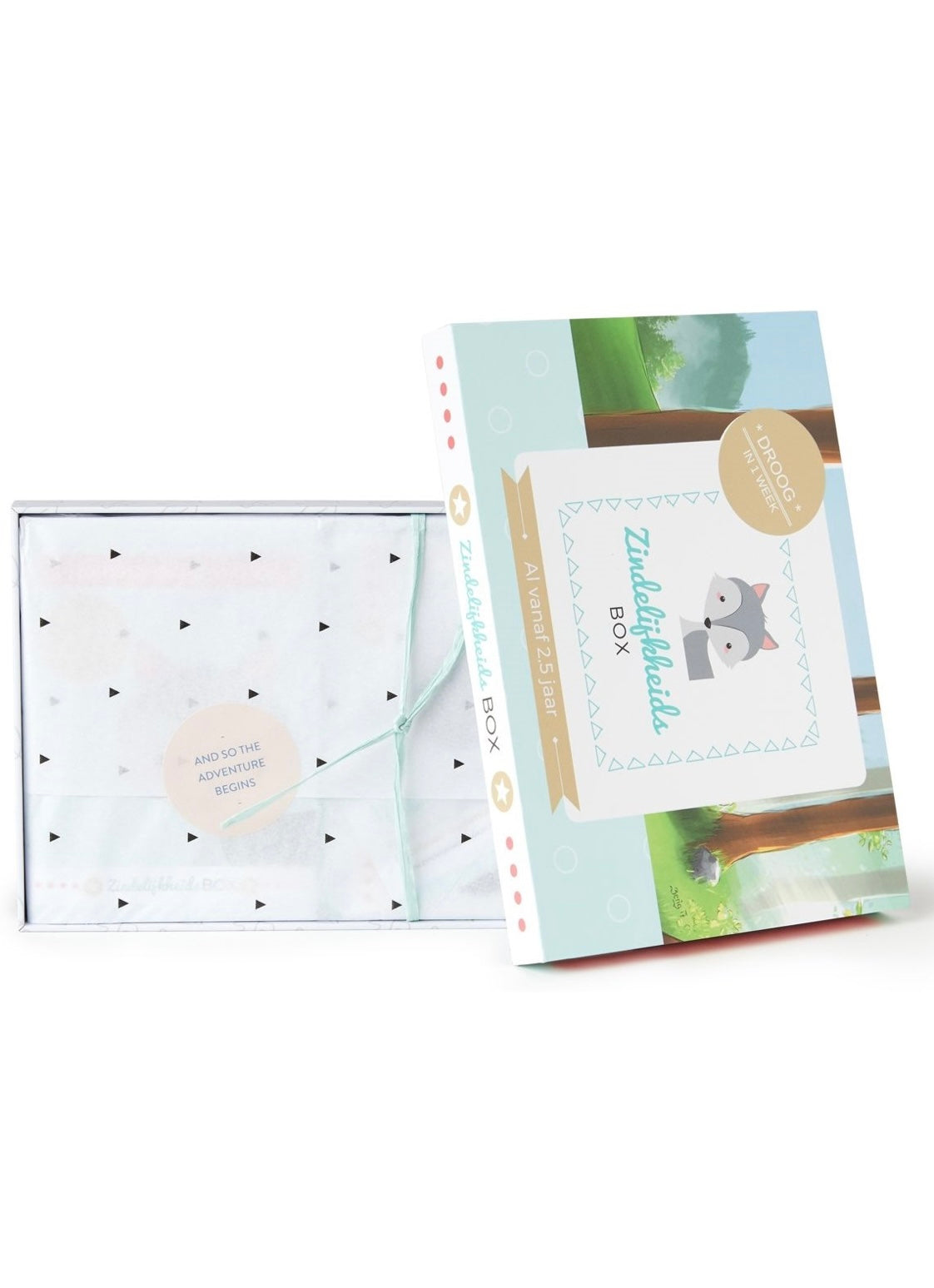 Zindelijkheidsbox