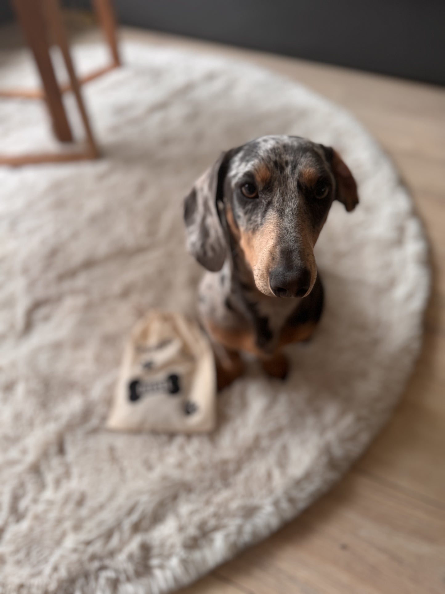 Gepersonaliseerd Zakje voor Honden Snoepjes + Inclusief Inhoud Hondenkoekjes