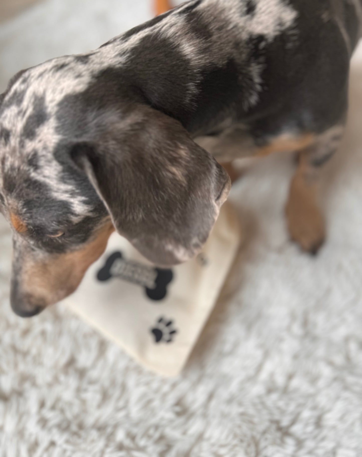 Gepersonaliseerd Zakje voor Honden Snoepjes + Inclusief Inhoud Hondenkoekjes