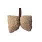Strikkussentje – Speendoekje Accessoire - Teddy - Beige
