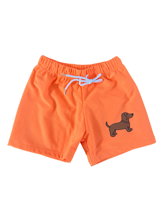 Zwembroek Teckel - Oranje