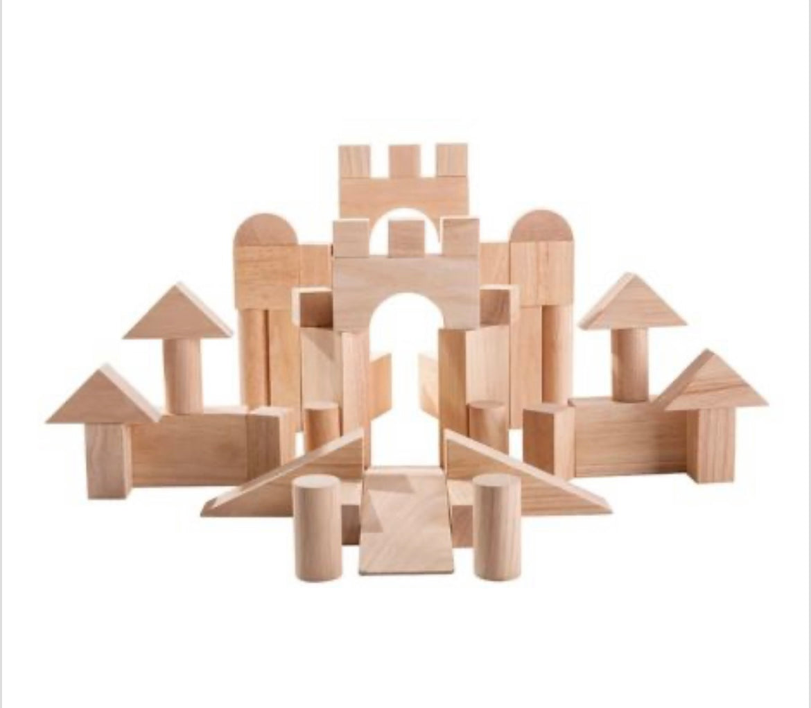 Plan Toys 50 blanke houten blokken