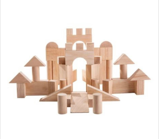 Plan Toys 50 blanke houten blokken