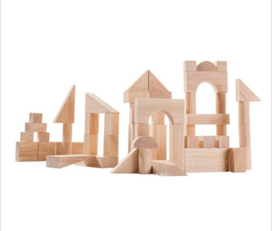 Plan Toys 50 blanke houten blokken