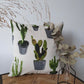 Kussenhoes met cactus patroon, linnenlook 40x40cm