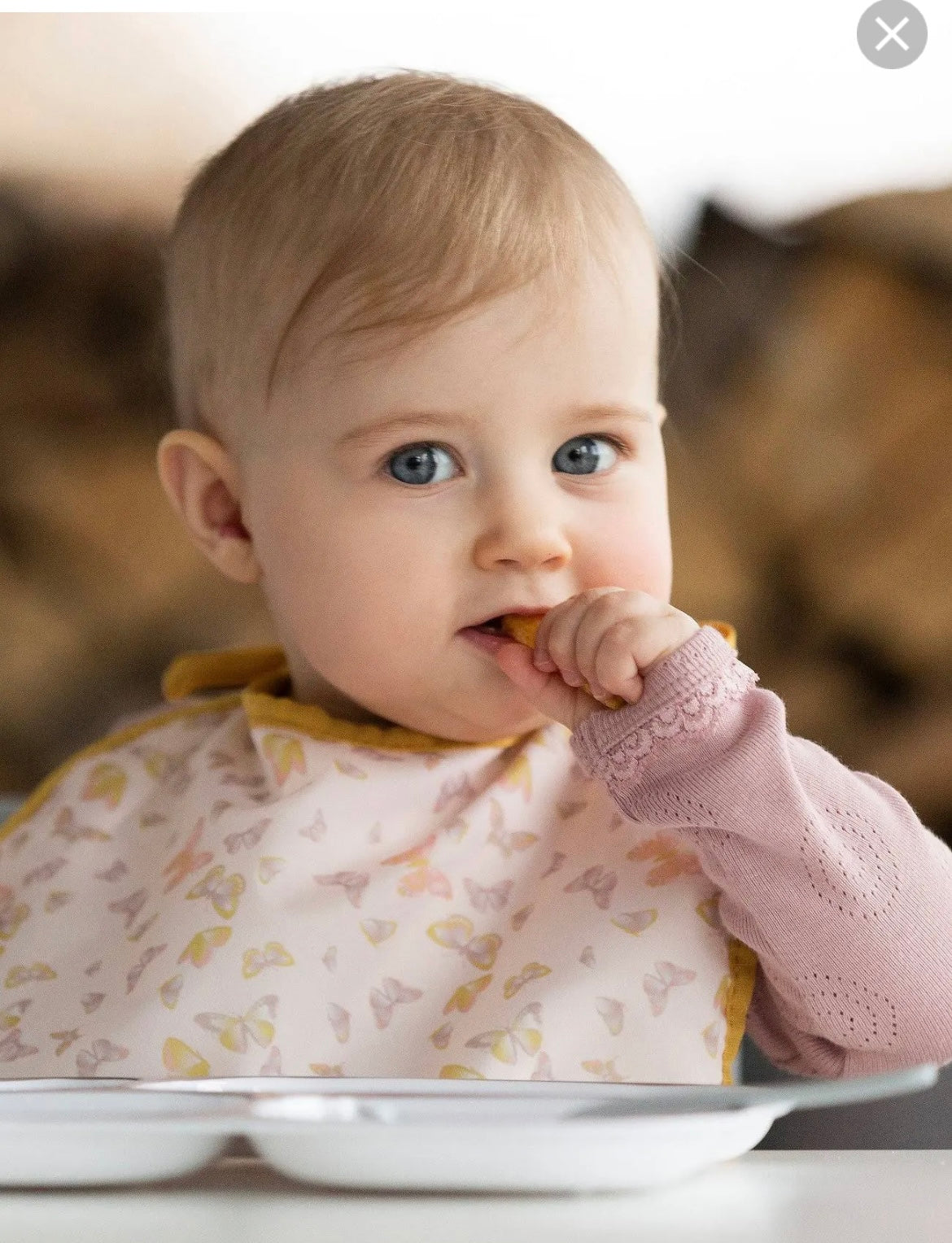 SMALLSTUFF Bib Butterfly Rose